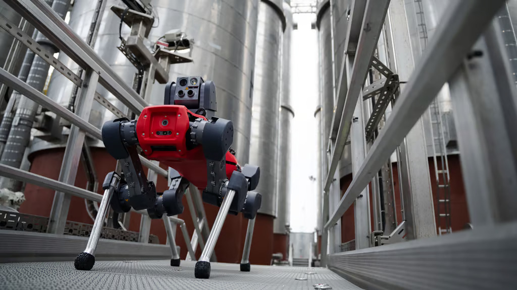 robot-trainer_TLE-8.jpeg